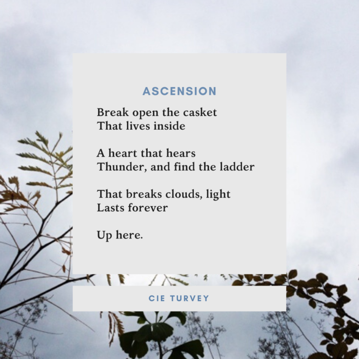 one line poetry a thousand furs